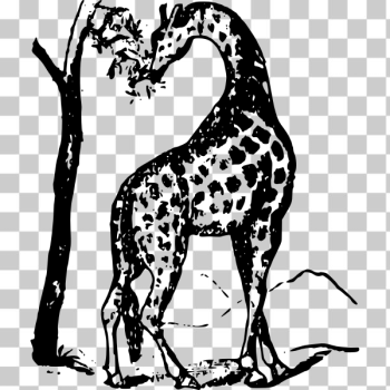 SVG Giraffe eating SVG Giraffe eating
