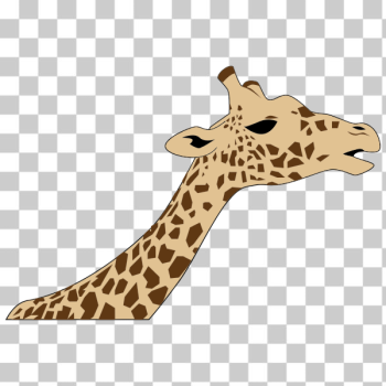 SVG Giraffe Head SVG Giraffe Head
