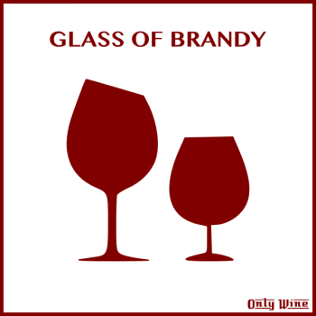 SVG Glasses pair SVG Glasses pair