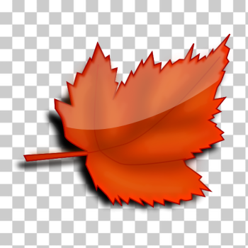 SVG Glossy autumn leaf vector image SVG Glossy autumn leaf vector image