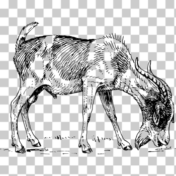SVG Goat SVG Goat