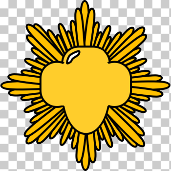 SVG Gold award pin vector image