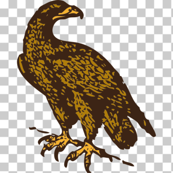 SVG golden eagle SVG golden eagle
