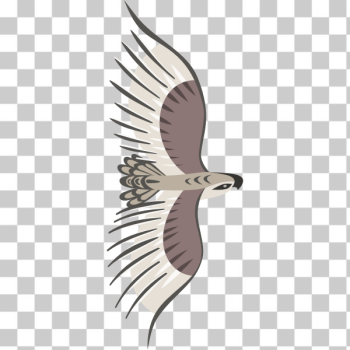 SVG Golden Eagle SVG Golden Eagle