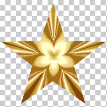 SVG Golden Star Blossom SVG Golden Star Blossom
