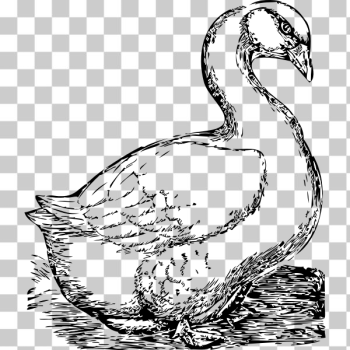 SVG goose SVG goose