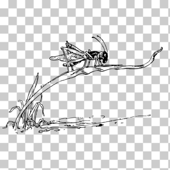 SVG grasshopper on blade of grass SVG grasshopper on blade of grass