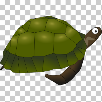 SVG Green cartoon turtle SVG Green cartoon turtle