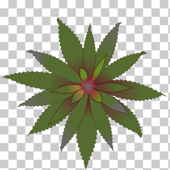 SVG Green flower Bromelia SVG Green flower Bromelia