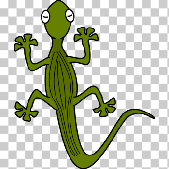 SVG Green gecko viewed from top vector illustration SVG Green gecko viewed from top vector illustration