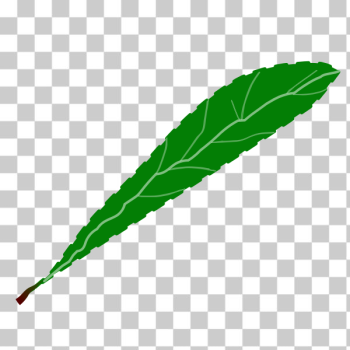 SVG Green petal SVG Green petal