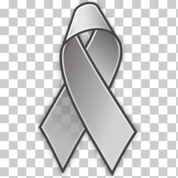 SVG Grey lace pin vector image