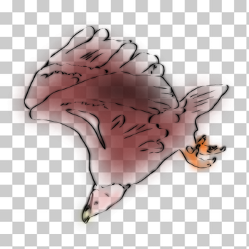 SVG Griffon Vulture Sketch SVG Griffon Vulture Sketch