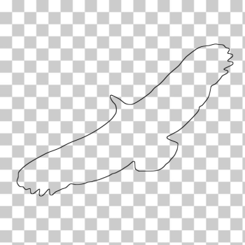 SVG Griffon Vulture vector drawing SVG Griffon Vulture vector drawing
