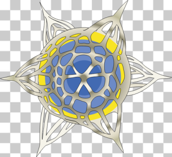 SVG Haeckel Polycyttaria SVG Haeckel Polycyttaria