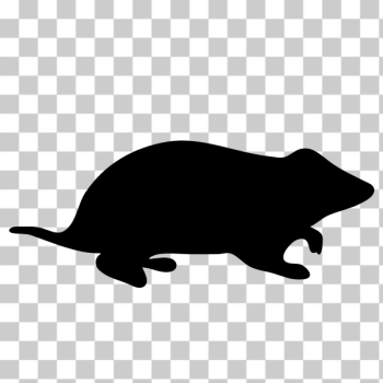 SVG Hamster contour vector image SVG Hamster contour vector image