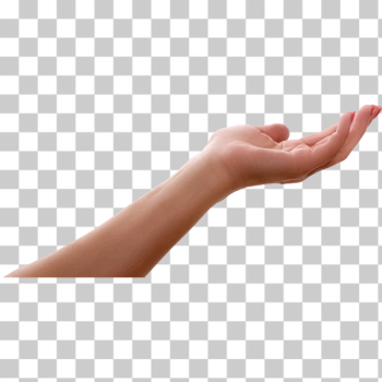 SVG Hand 6 SVG Hand 6