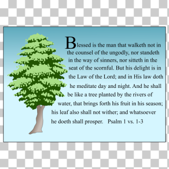 SVG Hardwood tree SVG Hardwood tree