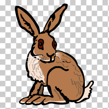 SVG Hare - coloured SVG Hare - coloured
