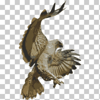 SVG Hawk Pouncing SVG Hawk Pouncing