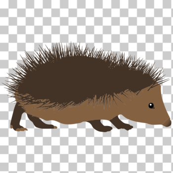 SVG Hedgehog drawing SVG Hedgehog drawing
