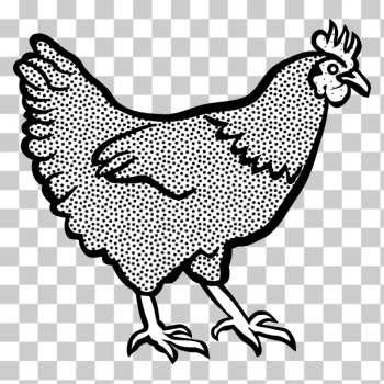 SVG Hen SVG Hen