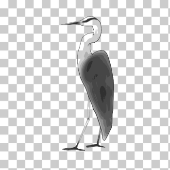 SVG Heron color graphics SVG Heron color graphics