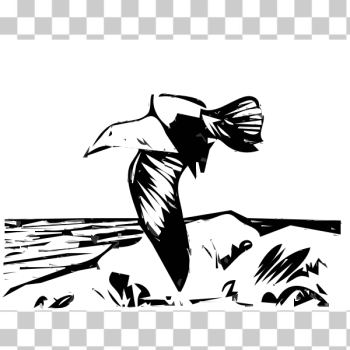 SVG Herring gull flying vector drawing SVG Herring gull flying vector drawing