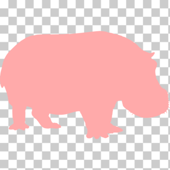 SVG Hippo pink silhouette vector image SVG Hippo pink silhouette vector image