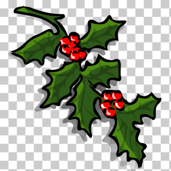 SVG holly