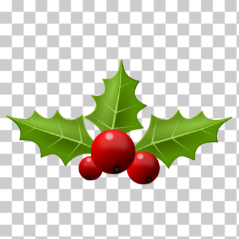 SVG holly berries remix SVG holly berries remix