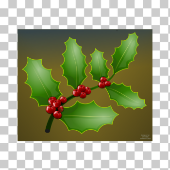 SVG Holly plant