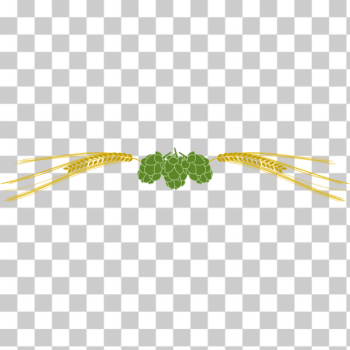 SVG Hops and barley vector SVG Hops and barley vector