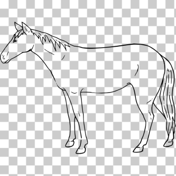 SVG Horse SVG Horse