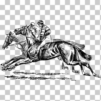 SVG Horse racing SVG Horse racing