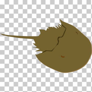 SVG Horseshoe Crab SVG Horseshoe Crab