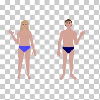 SVG Human body man and woman SVG Human body man and woman