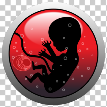 SVG Human embryo vector silhouette