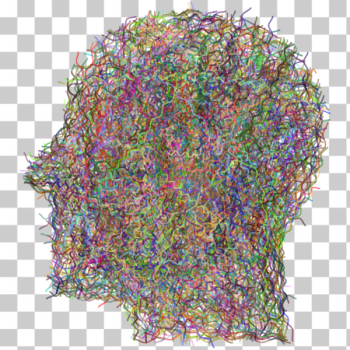 SVG Human head silhouette colored lines SVG Human head silhouette colored lines