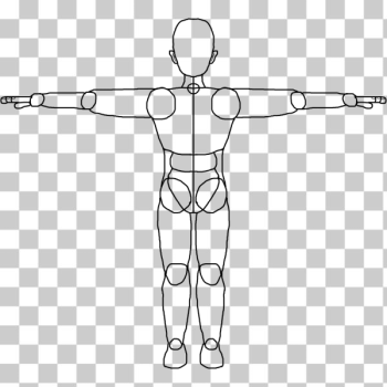 SVG Human Model Back Reference SVG Human Model Back Reference
