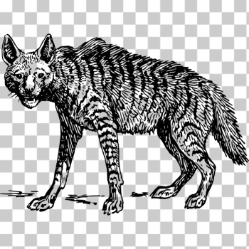 SVG Hyena image SVG Hyena image