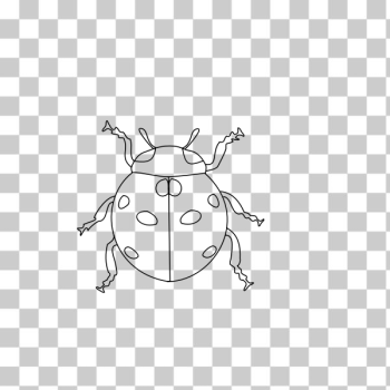 SVG Image of ladybug for coloring book SVG Image of ladybug for coloring book