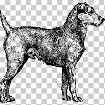 SVG Irish terrier SVG Irish terrier