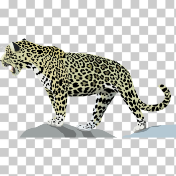 SVG Jaguar SVG Jaguar