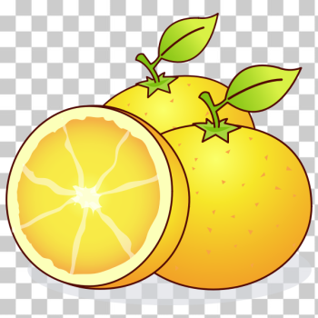 SVG Juicy oranges