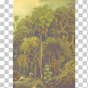 SVG Jungle vegetation SVG Jungle vegetation