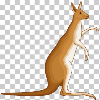 SVG Kangaroo image SVG Kangaroo image