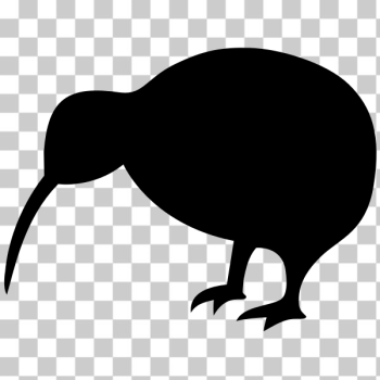 SVG Kiwi bird SVG Kiwi bird