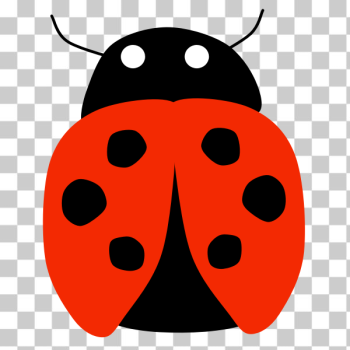 SVG Lady Bug SVG Lady Bug