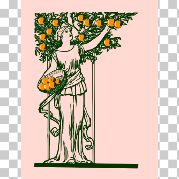 SVG Lady picking oranges